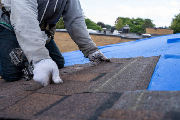 Quick and Trustworthy Emergency Roof Repair Services in Lemoyne, PA